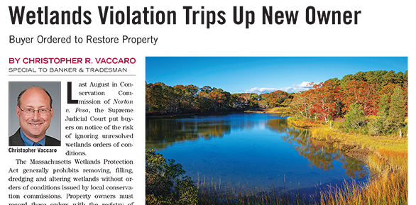 Wetlands Violation Trips Up New Owner